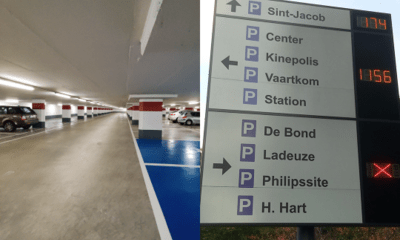 Parkeergeleiding